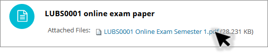 Screenshot of an exam paper in Minerva