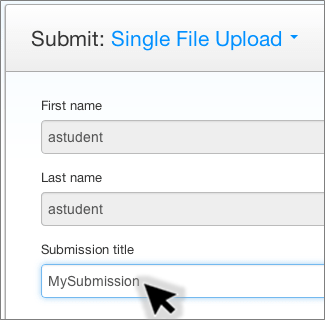 Screenshot of a submission title being entered